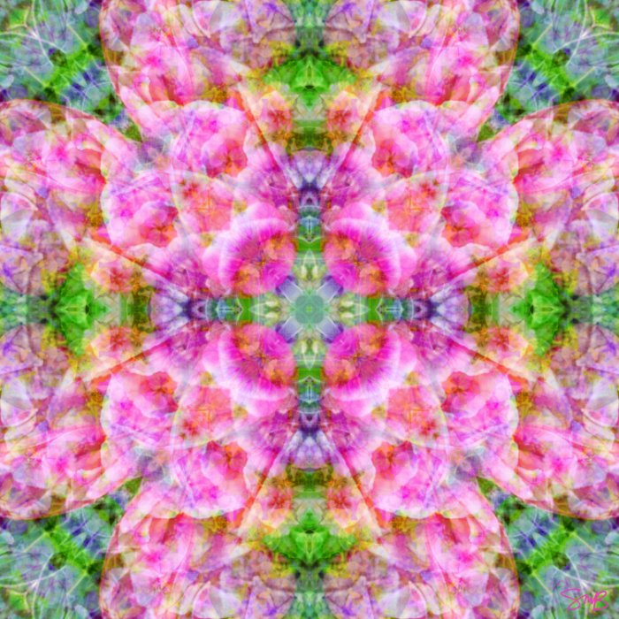 Violet Tiki Tulips