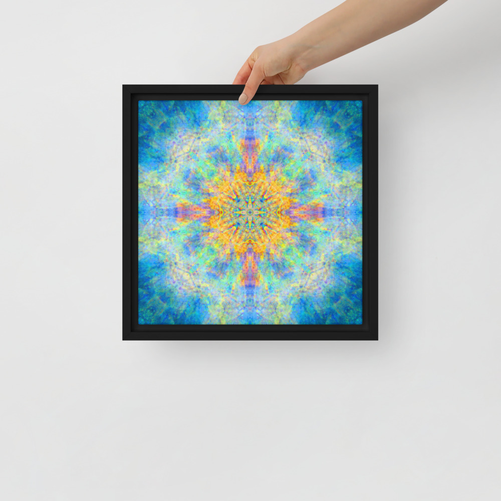 Framed Canvas
