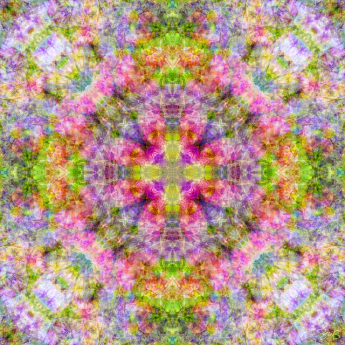 Violets and Tulips