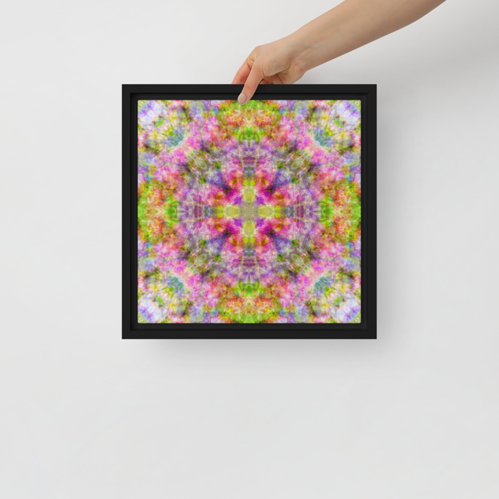 Framed Canvas thumbnail