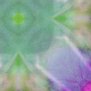 S01M11 Mandala Center Close-Up