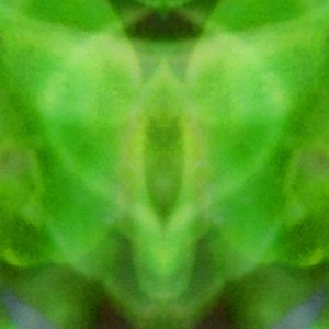 S01M11 Mandala Random Close-Up