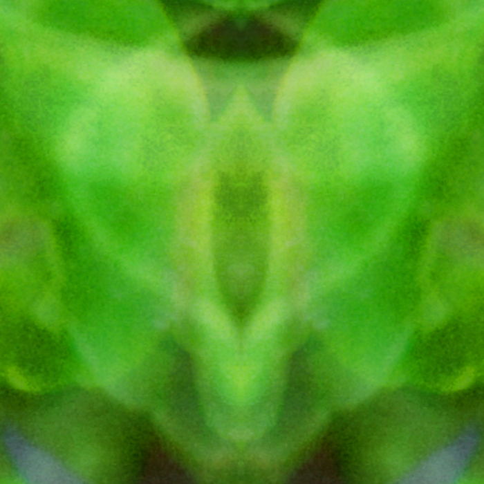 S01M11 Mandala Random Close-Up