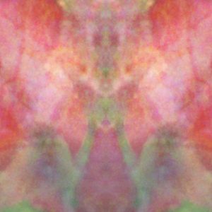 S01M12 Mandala Random Close-Up