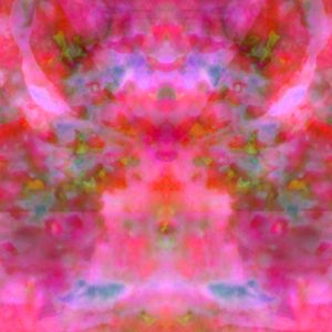 S01M02 Mandala Random Close Up