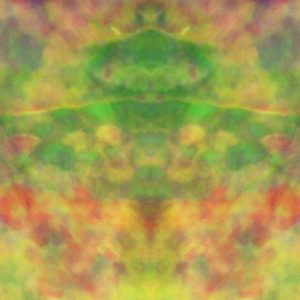 S01M08 Mandala Random Close-Up